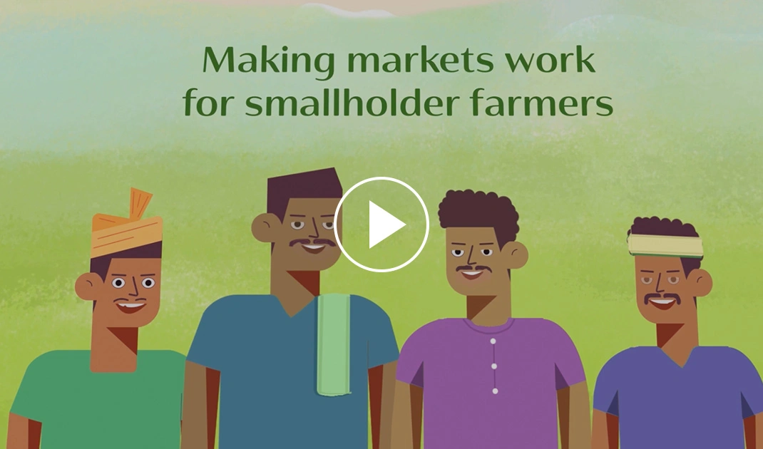 FDC Video